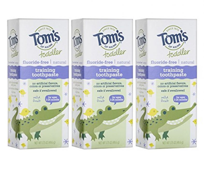 Tom’s of Maine Fluoride-Free Toddler Training Toothpaste, Mild Fruit, 1.75 oz. 3-Pack (Packaging May Vary)